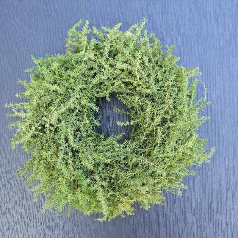 Asparagus Kranz 28 cm grün