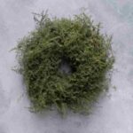 Asparagus Kranz grün rund 35 cm