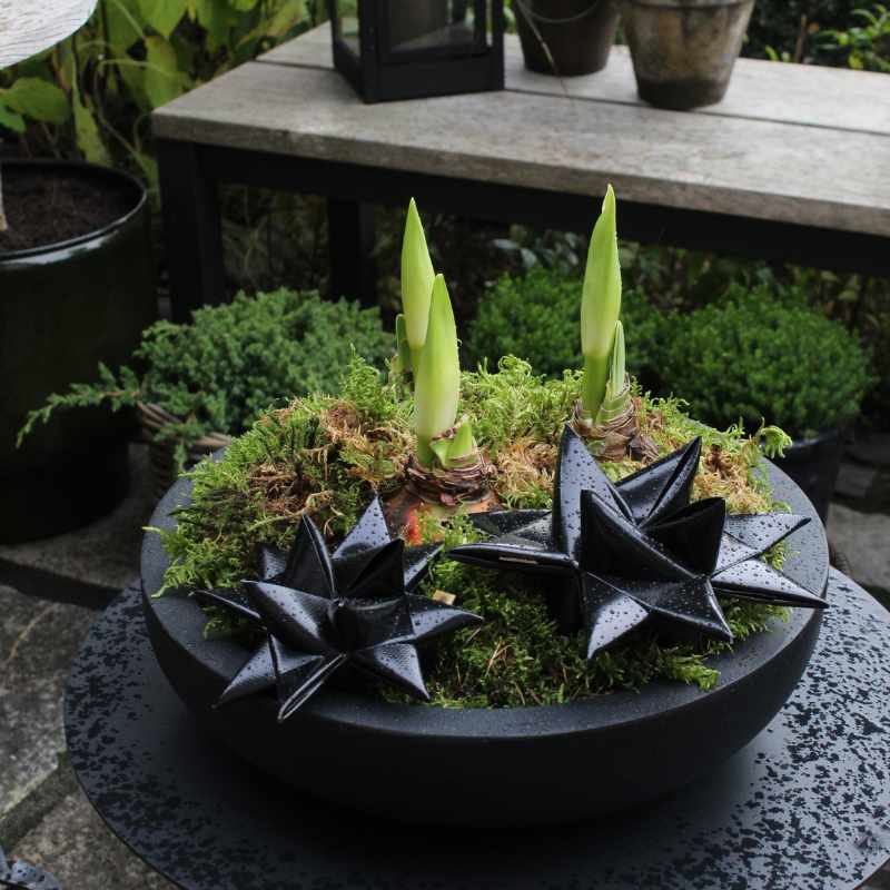 Stern schwarz in vier Grössen, für drinnen und draußen