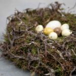 Nest Moos-Bonsai 30 cm, Frühlingsdekoration