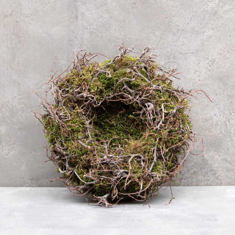 Nest Moos/Bonsai 30 cm