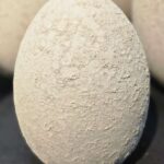 Osterei sand, Keramik, in zwei Grössen