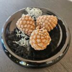 Schwarze Deko-Schale aus Glas, rund