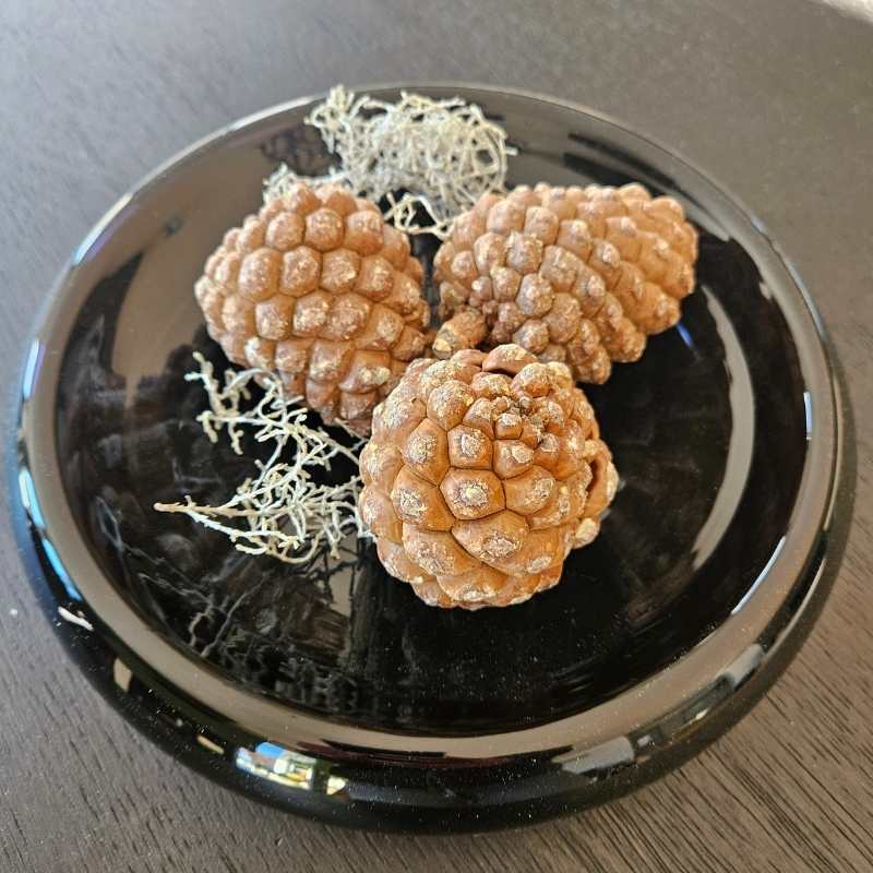 Schwarze Deko-Schale aus Glas, rund