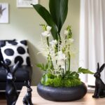 schwarze Schale aus Keramik, zum Bepflanzen oder als Obstschale einsetzbar, Durchmesser 33 cm, Höhe 9 cm