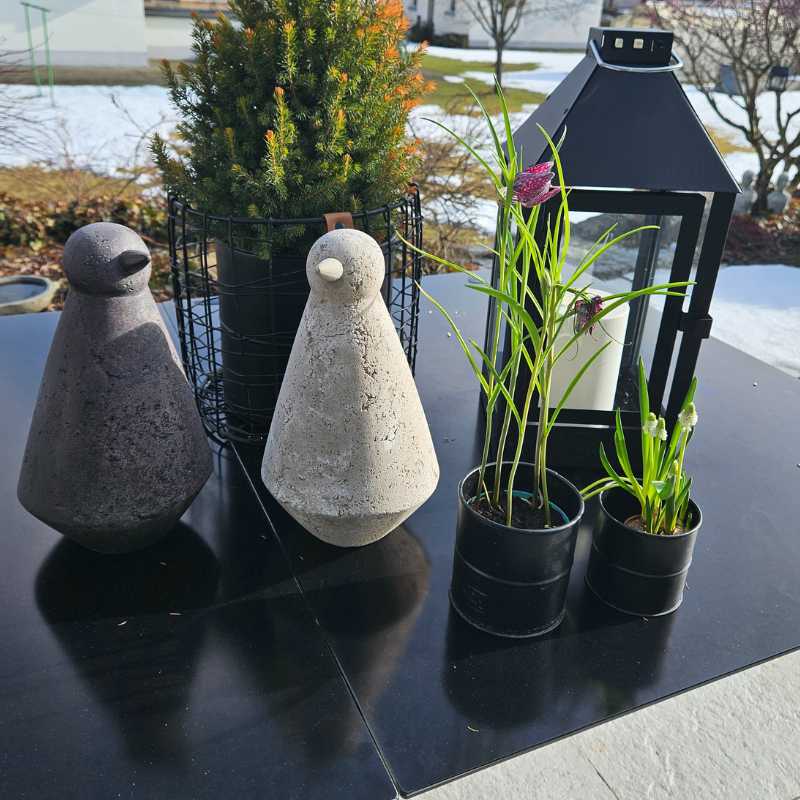 Vogel Pino aus Zement in sand und braun, für Indoor und Outdoor