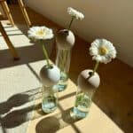 BLOSSOM Glasvase und Ball im 2er Set, 30 cm, in drei Farben