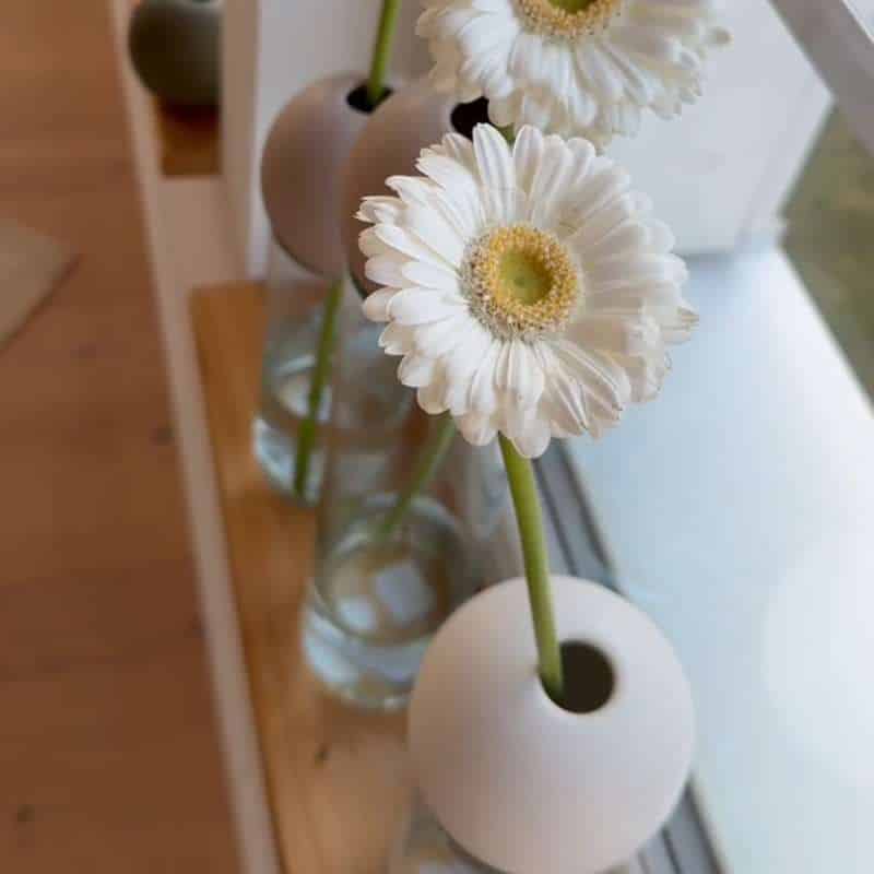 BLOSSOM Glasvase und Ball im 2er Set, 30 cm, in drei Farben