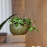 Blumenampel von Lübech Living, schwarz und olive, Durchmesser 17,5 cm, Höhe 13 cm